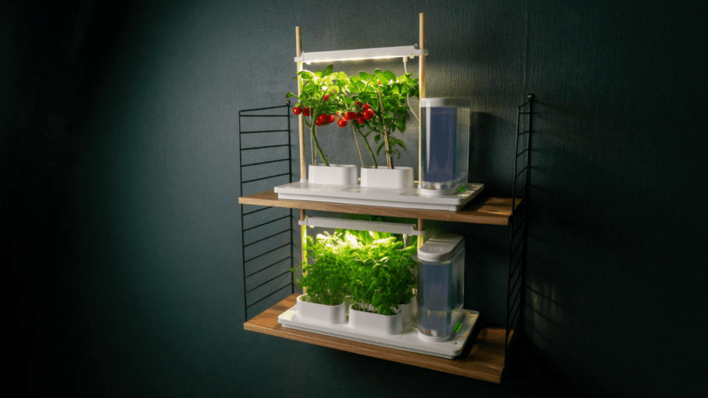 sistema idroponico domestico AUK appeso