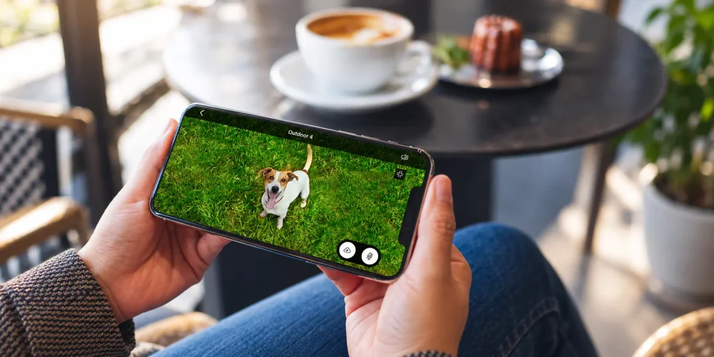 Live View di Blink Outdoor 4 su smartphone con cane in giardino